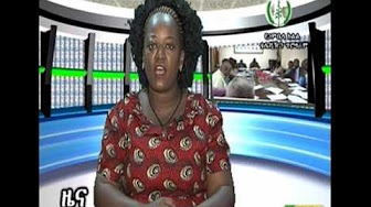  Gambella TV News - August 01, 2017